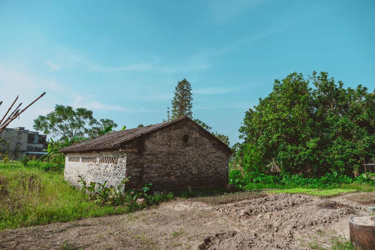 久违的大岭村 久违的大岭村