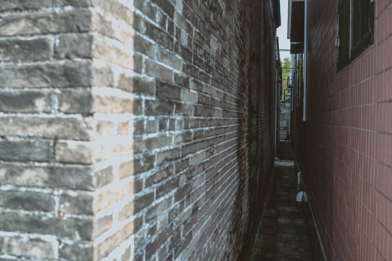 久违的大岭村 久违的大岭村