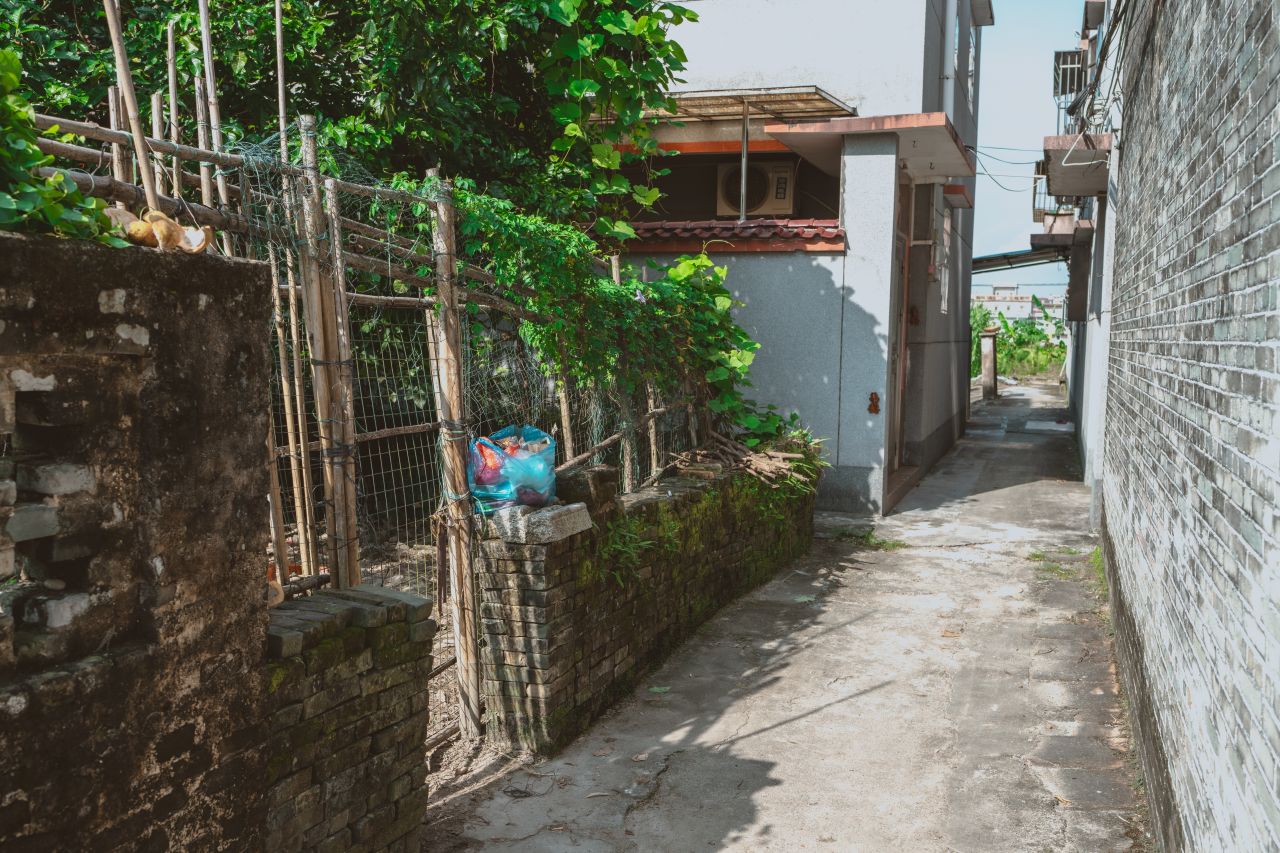 久违的大岭村 久违的大岭村