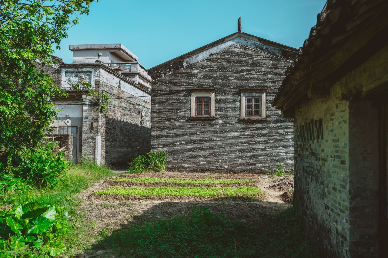久违的大岭村 久违的大岭村