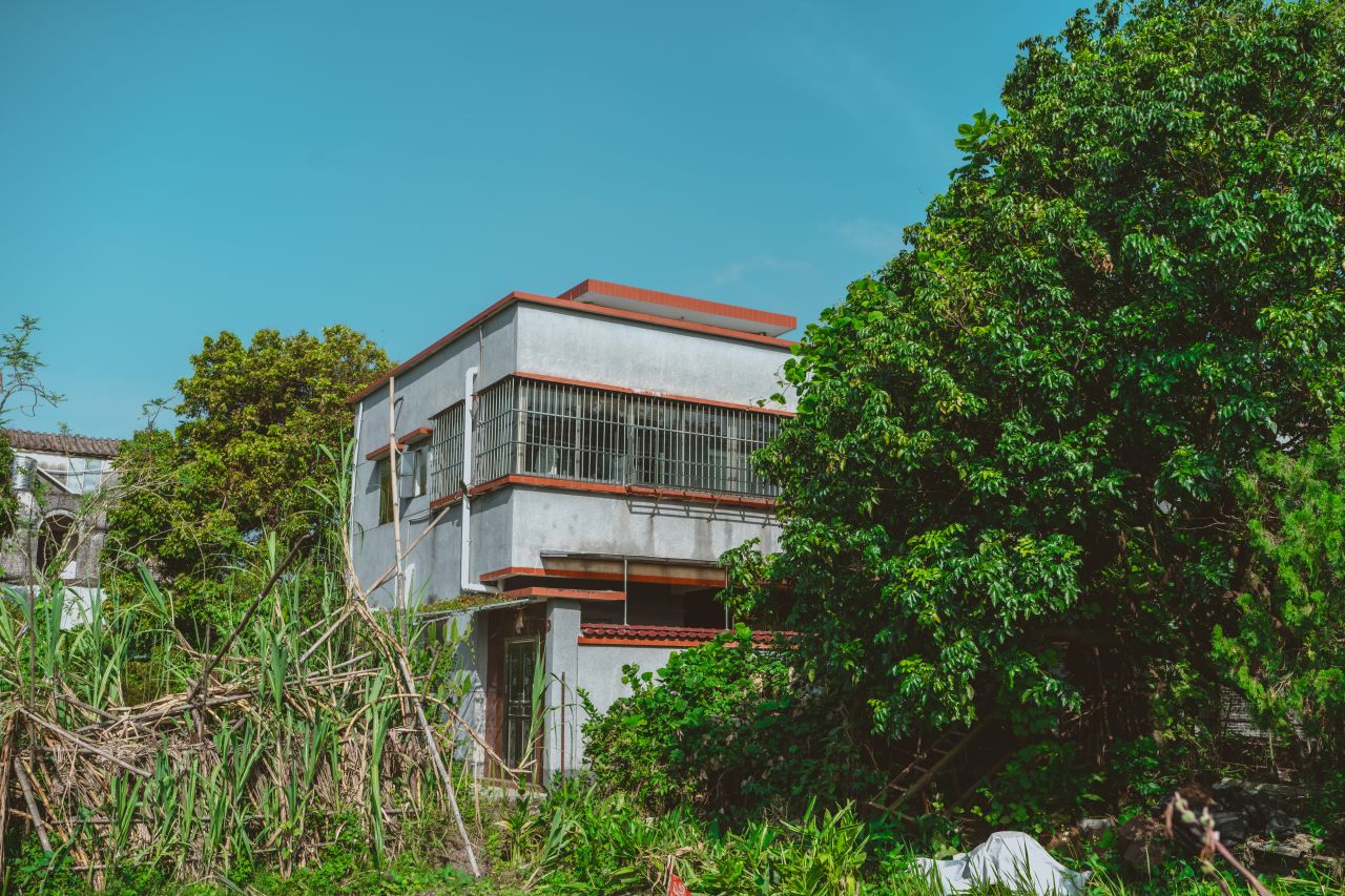 久违的大岭村 久违的大岭村