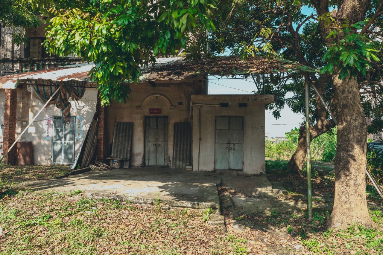 久违的大岭村 久违的大岭村