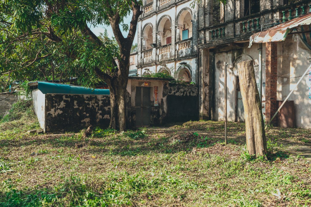久违的大岭村 久违的大岭村