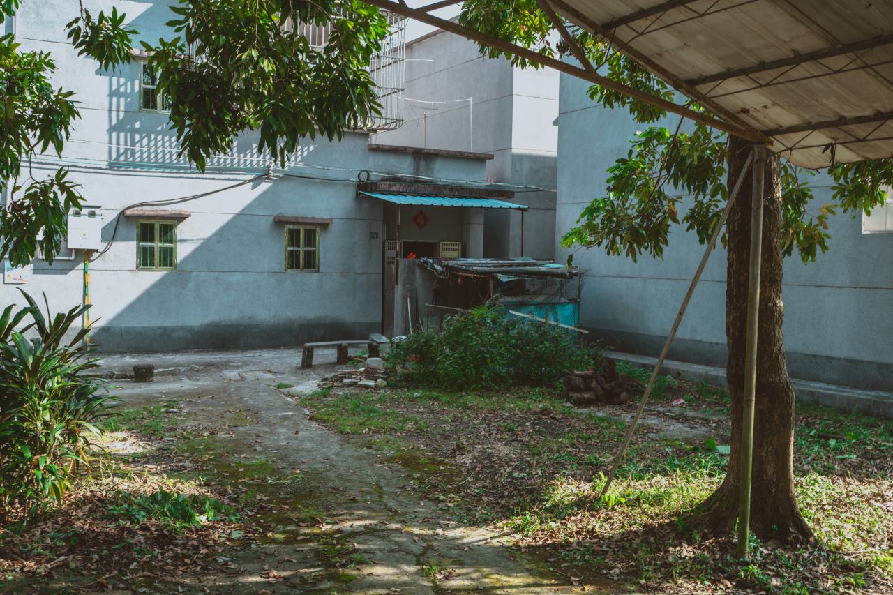 久违的大岭村 久违的大岭村