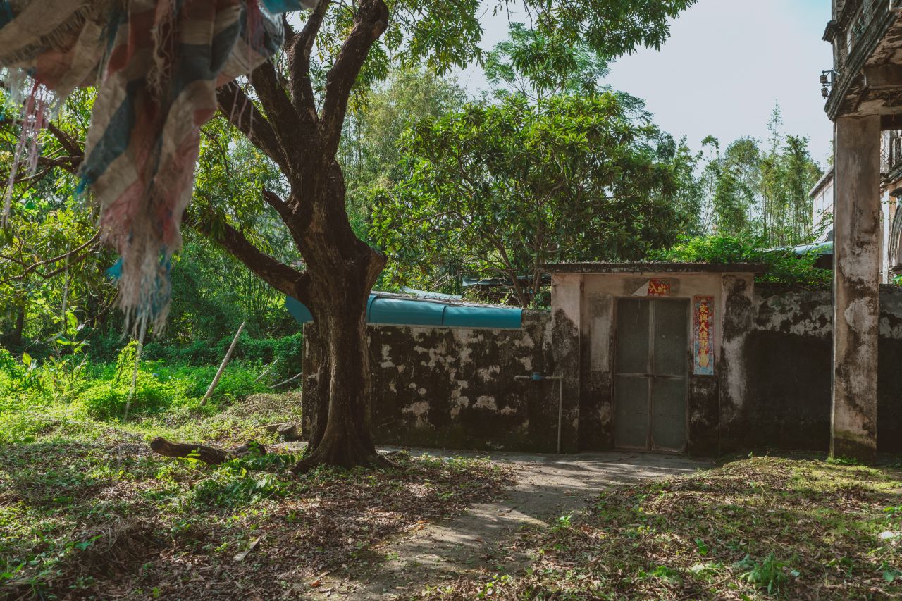 久违的大岭村 久违的大岭村