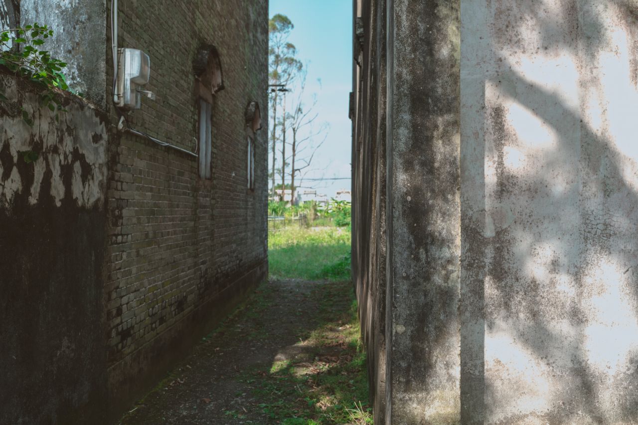 久违的大岭村 久违的大岭村