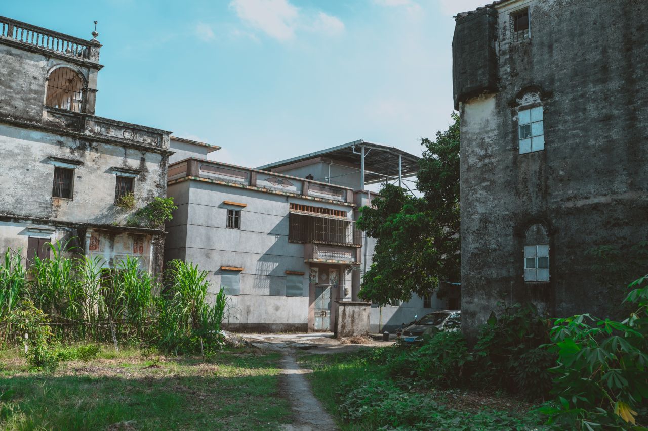 久违的大岭村 久违的大岭村