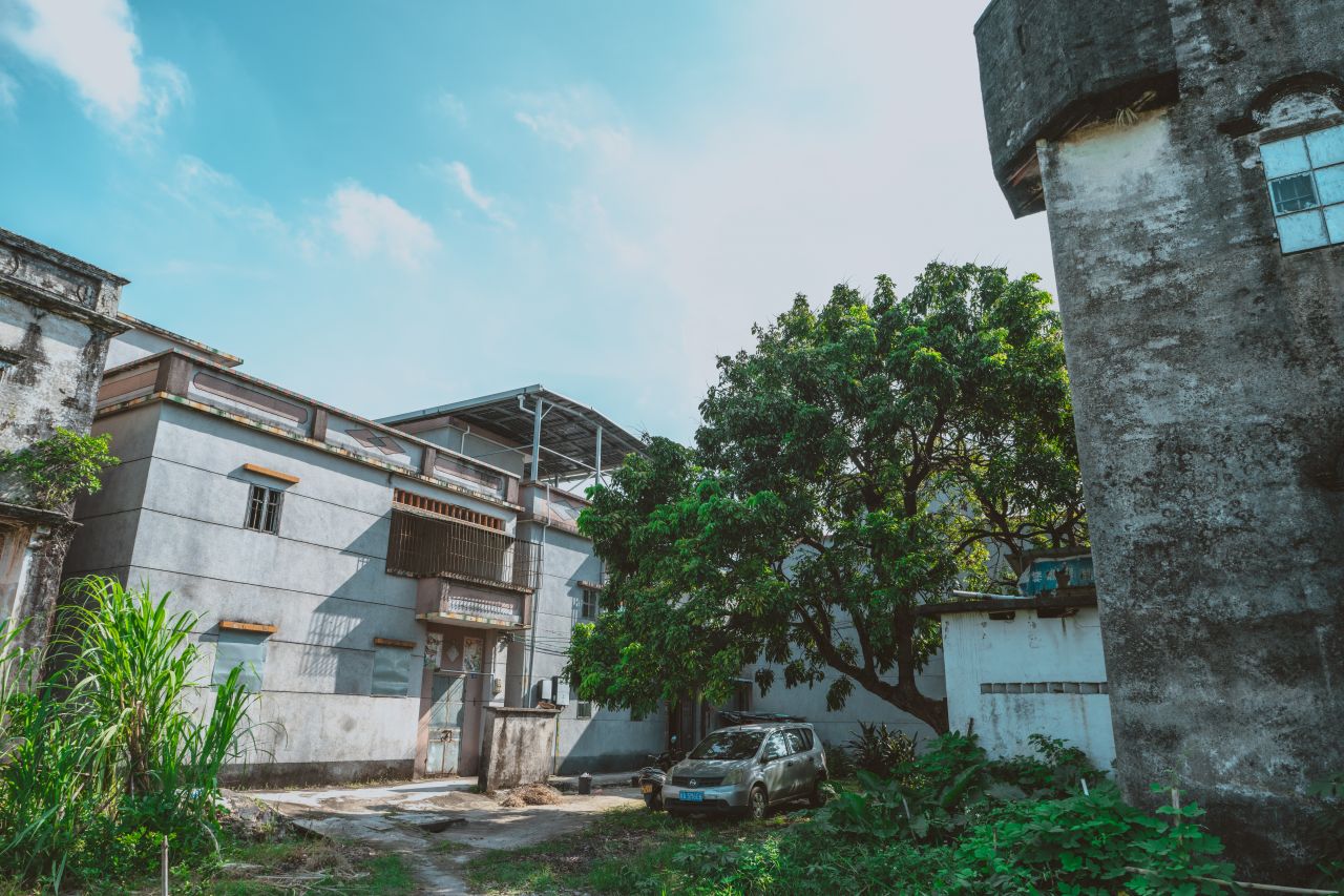 久违的大岭村 久违的大岭村