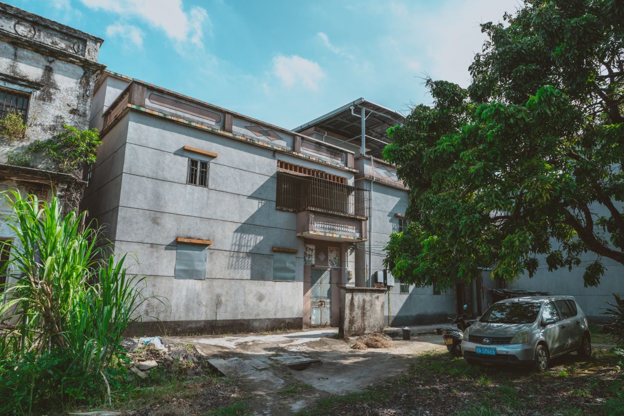 久违的大岭村 久违的大岭村