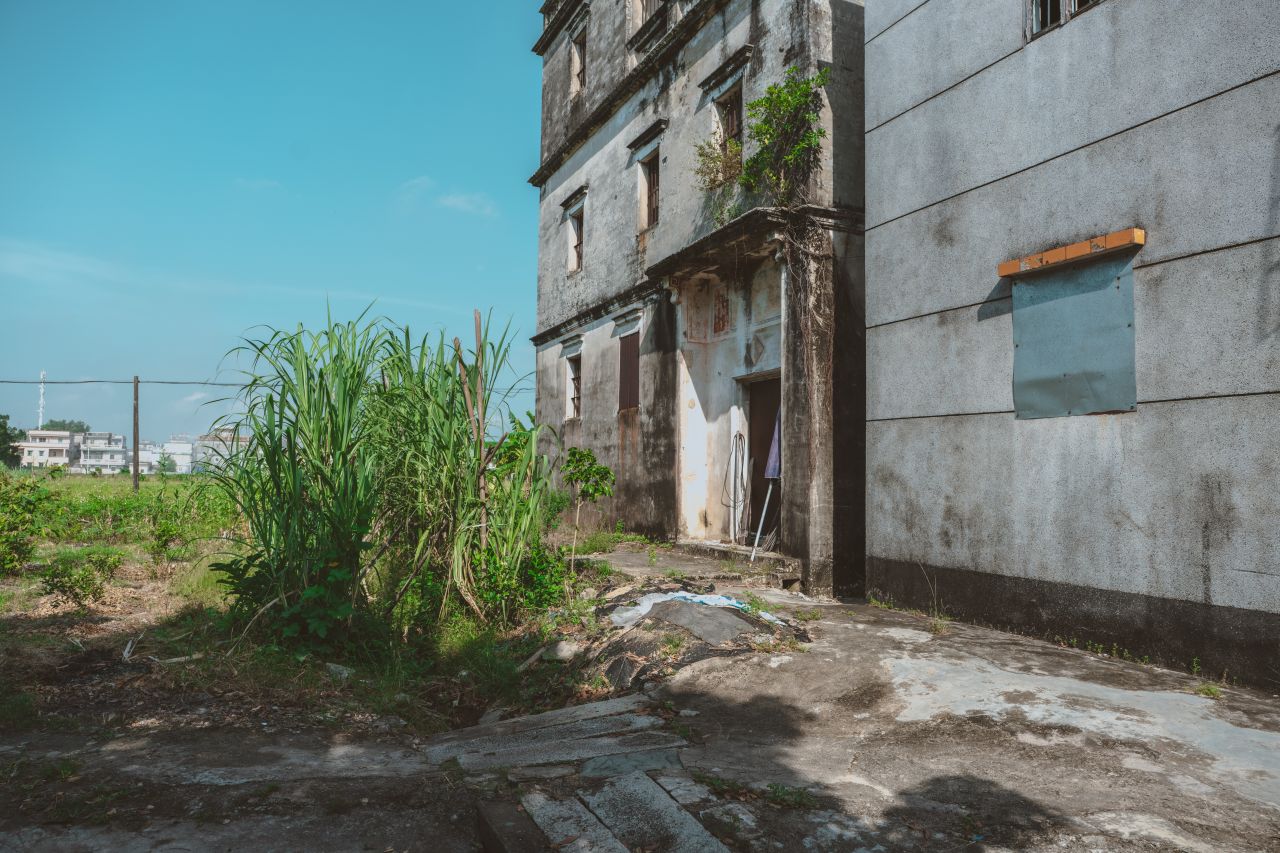 久违的大岭村 久违的大岭村