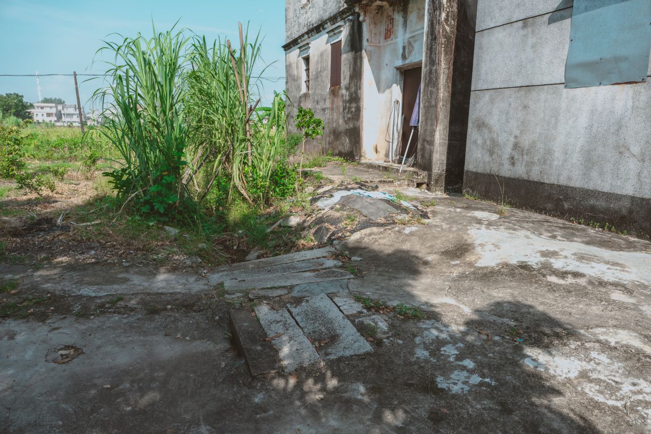 久违的大岭村 久违的大岭村