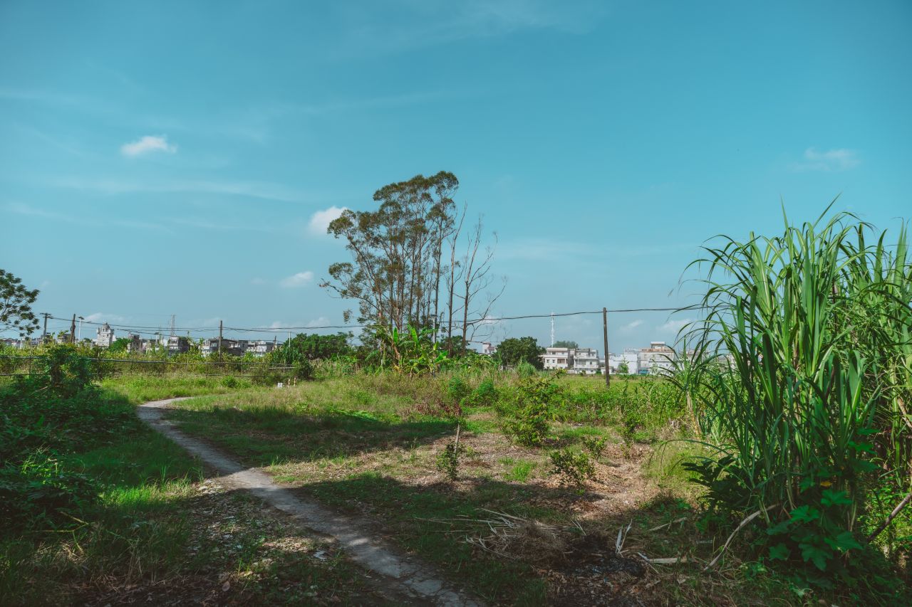 久违的大岭村 久违的大岭村