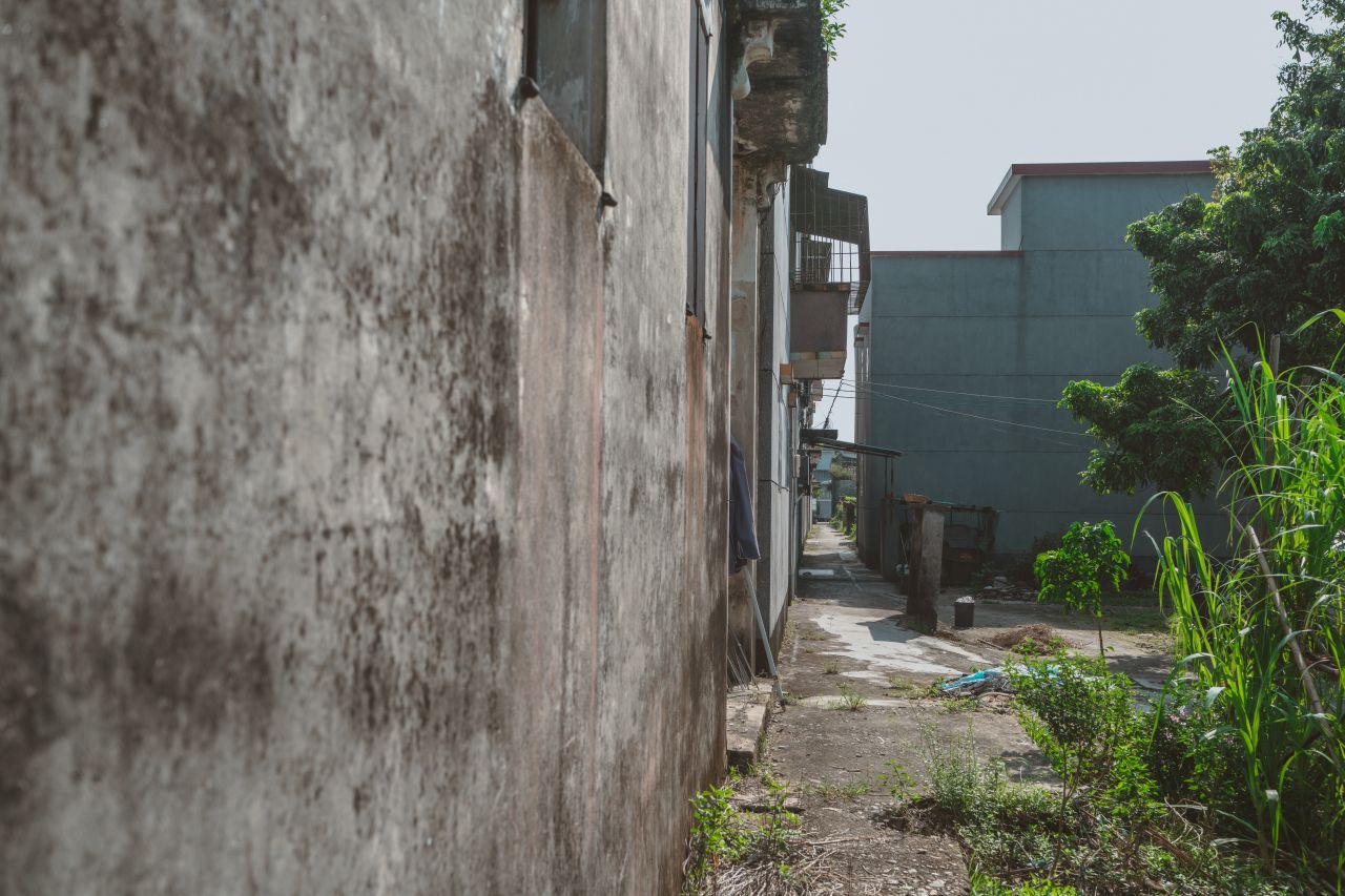 久违的大岭村 久违的大岭村