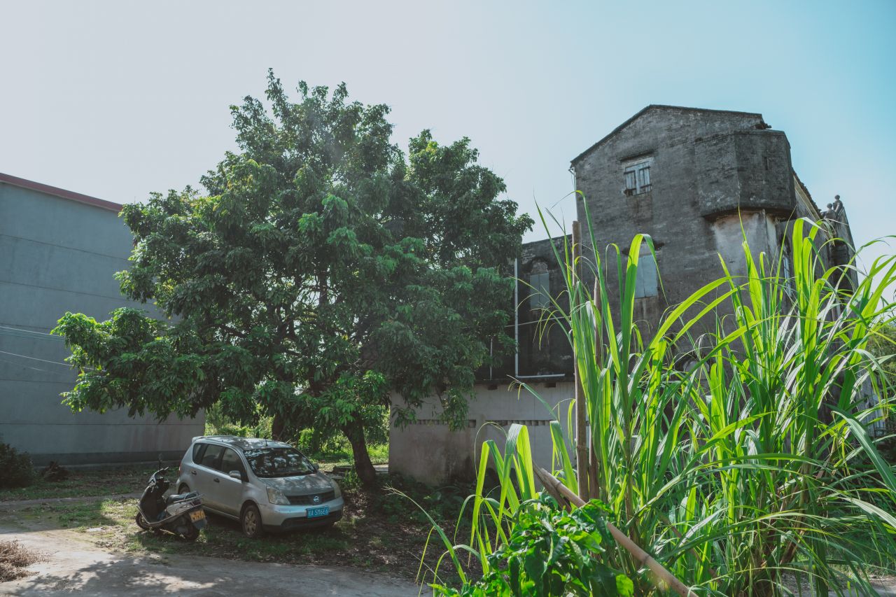 久违的大岭村 久违的大岭村