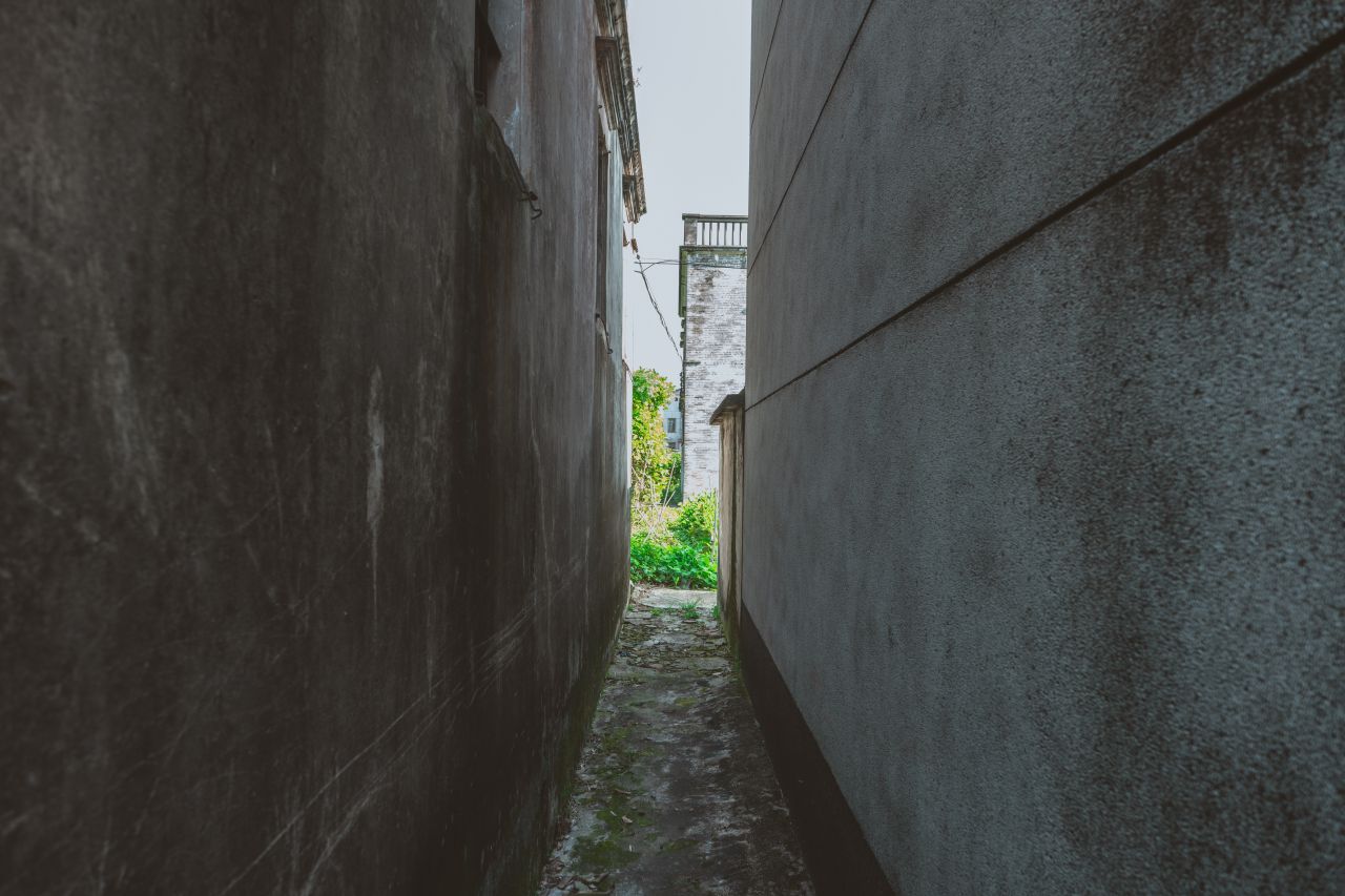 久违的大岭村 久违的大岭村