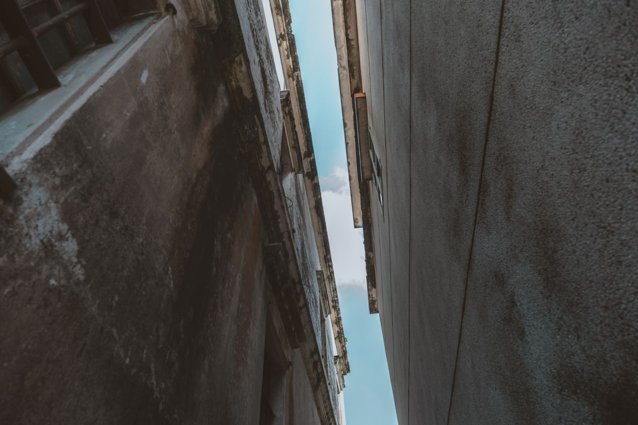 久违的大岭村 久违的大岭村