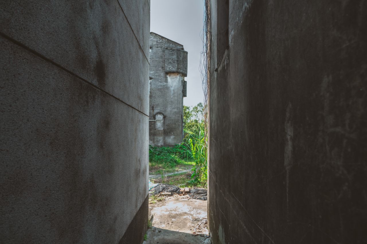 久违的大岭村 久违的大岭村