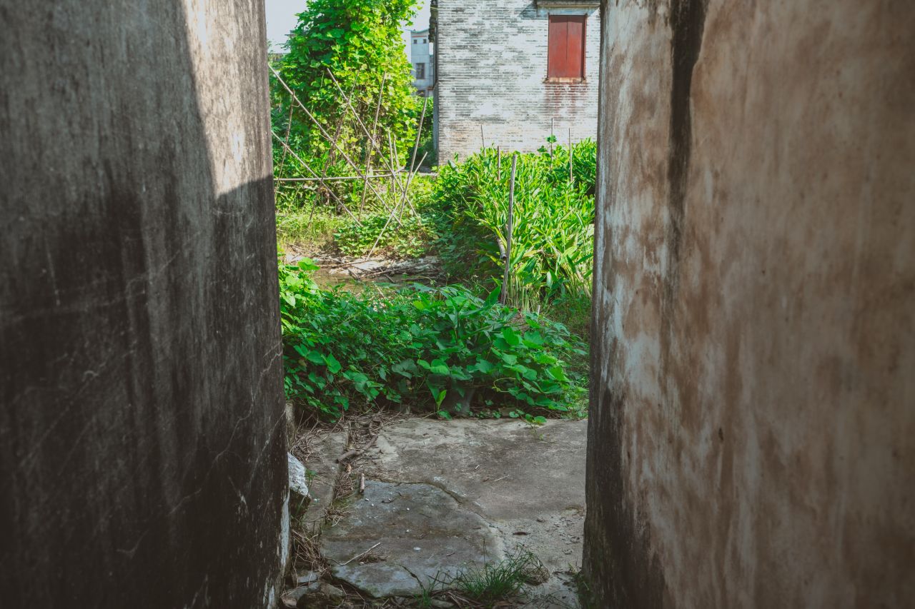 久违的大岭村 久违的大岭村
