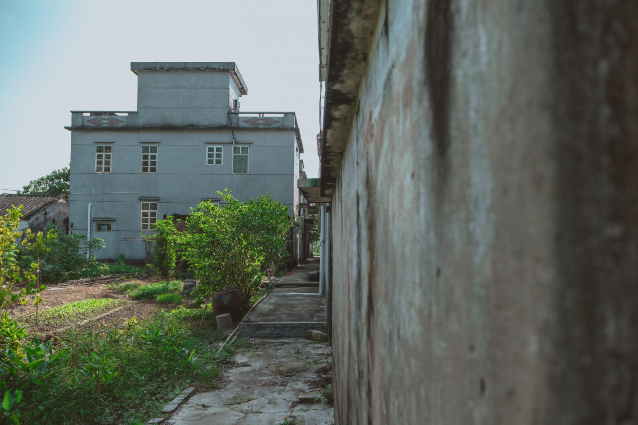 久违的大岭村 久违的大岭村