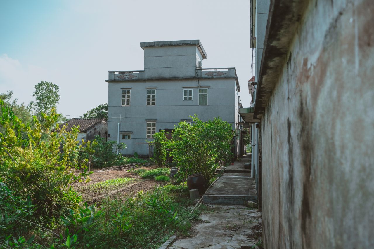 久违的大岭村 久违的大岭村