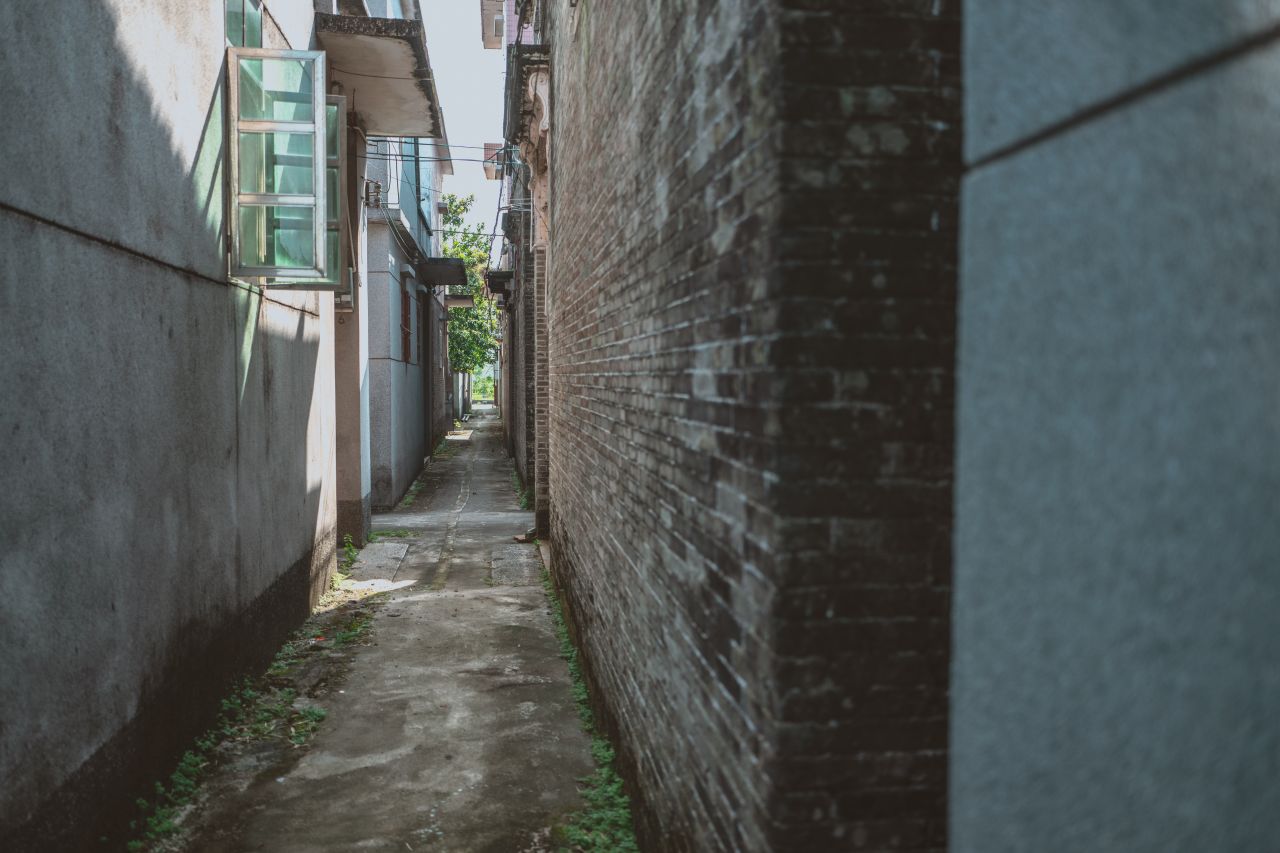 久违的大岭村 久违的大岭村