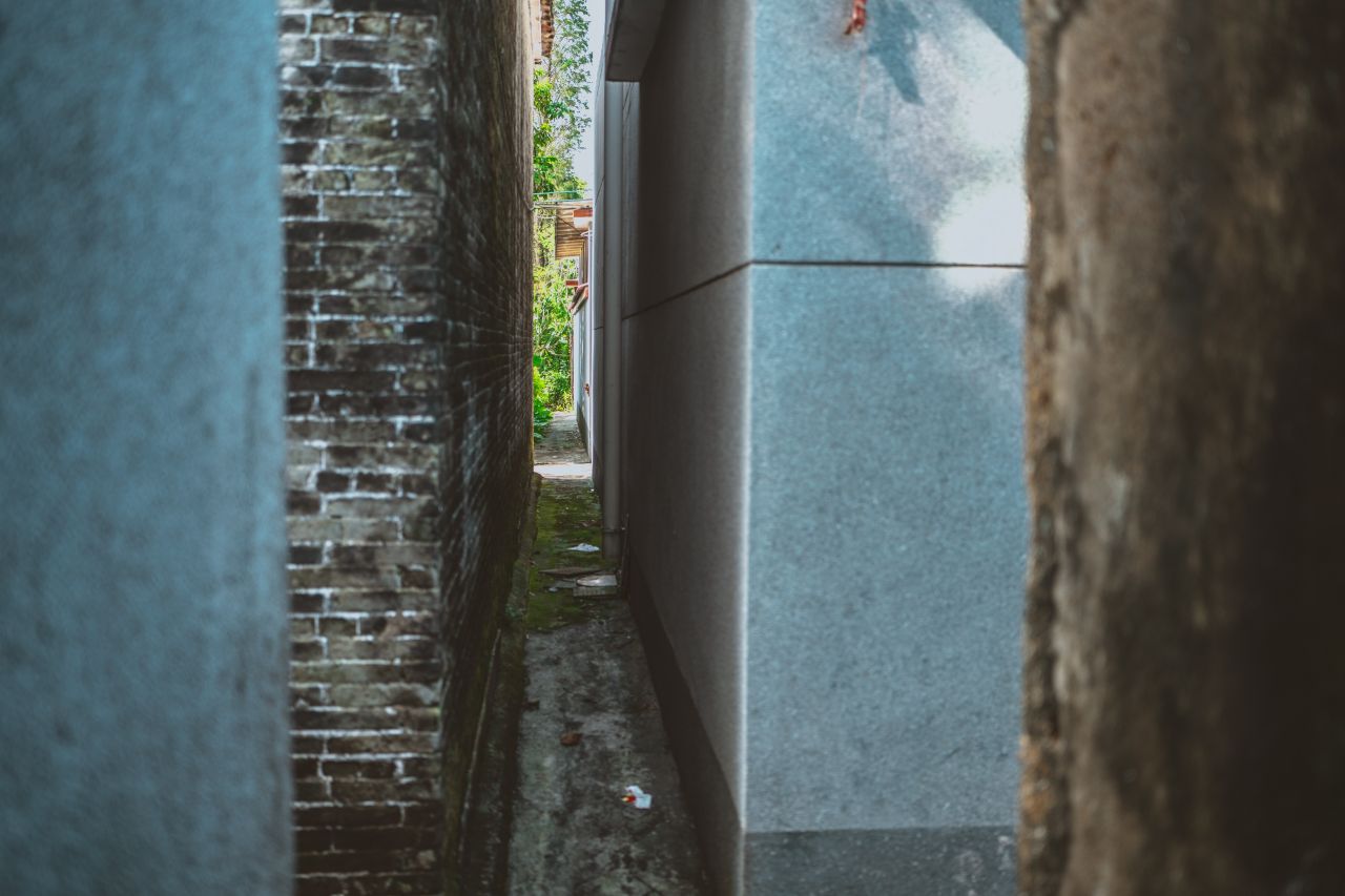 久违的大岭村 久违的大岭村