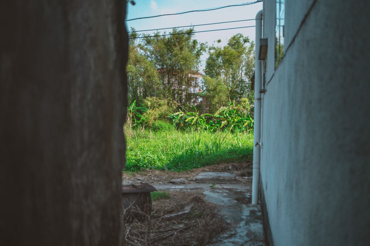 久违的大岭村 久违的大岭村