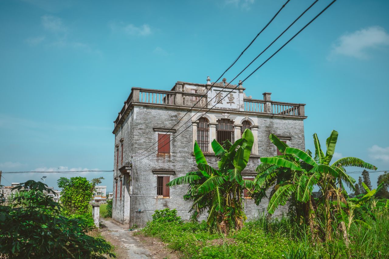 久违的大岭村 久违的大岭村