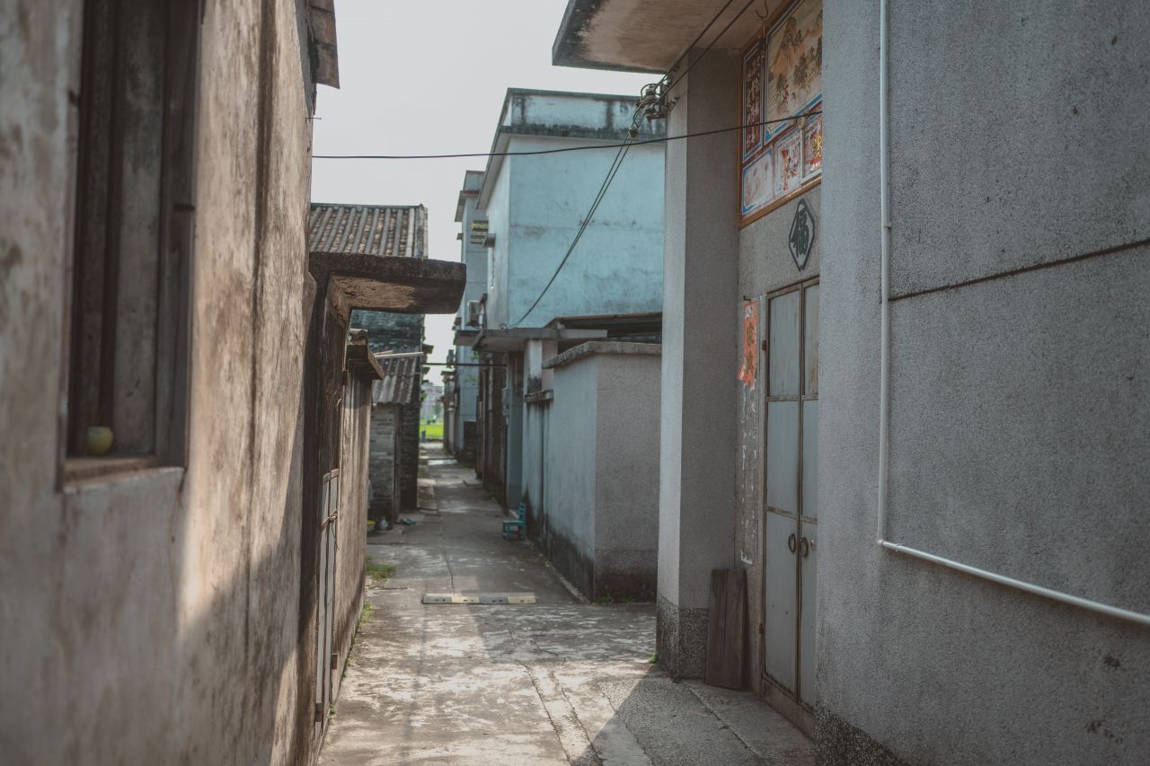 久违的大岭村 久违的大岭村