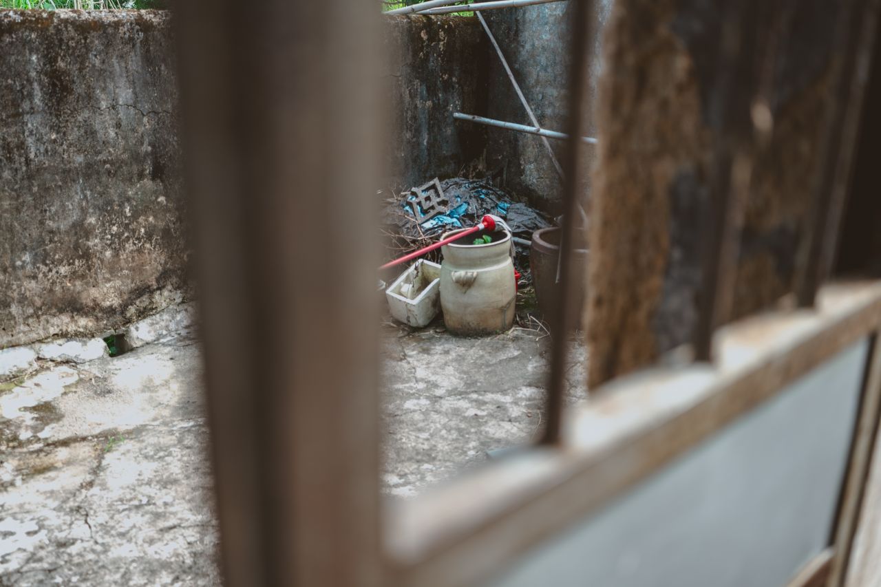 久违的大岭村 久违的大岭村