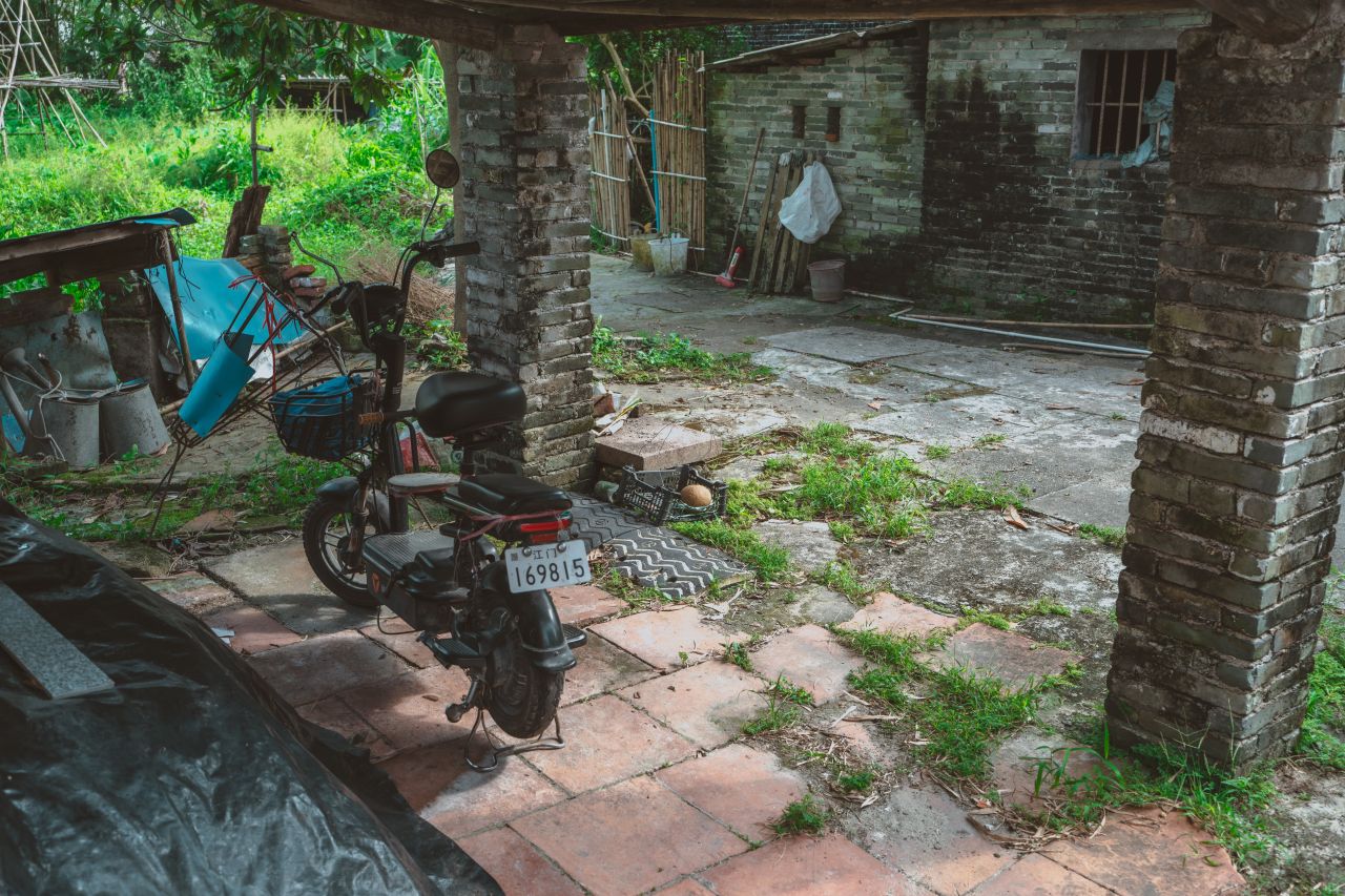 久违的大岭村 久违的大岭村