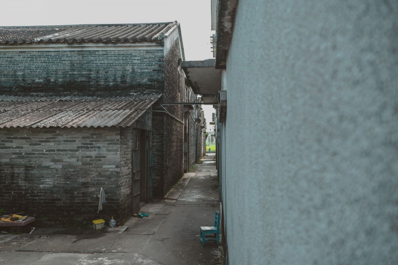 久违的大岭村 久违的大岭村