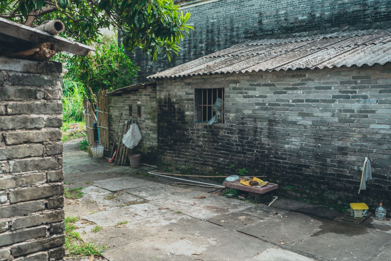 久违的大岭村 久违的大岭村