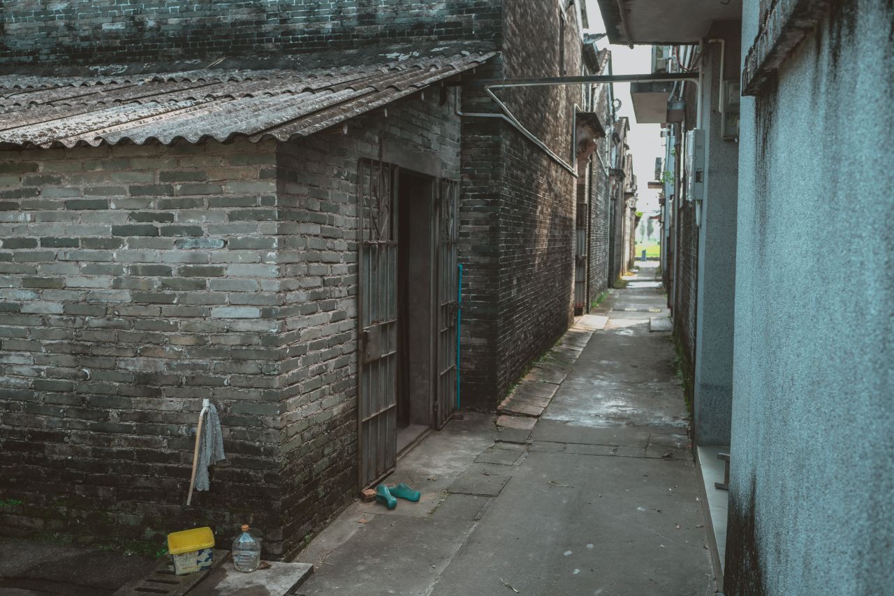 久违的大岭村 久违的大岭村