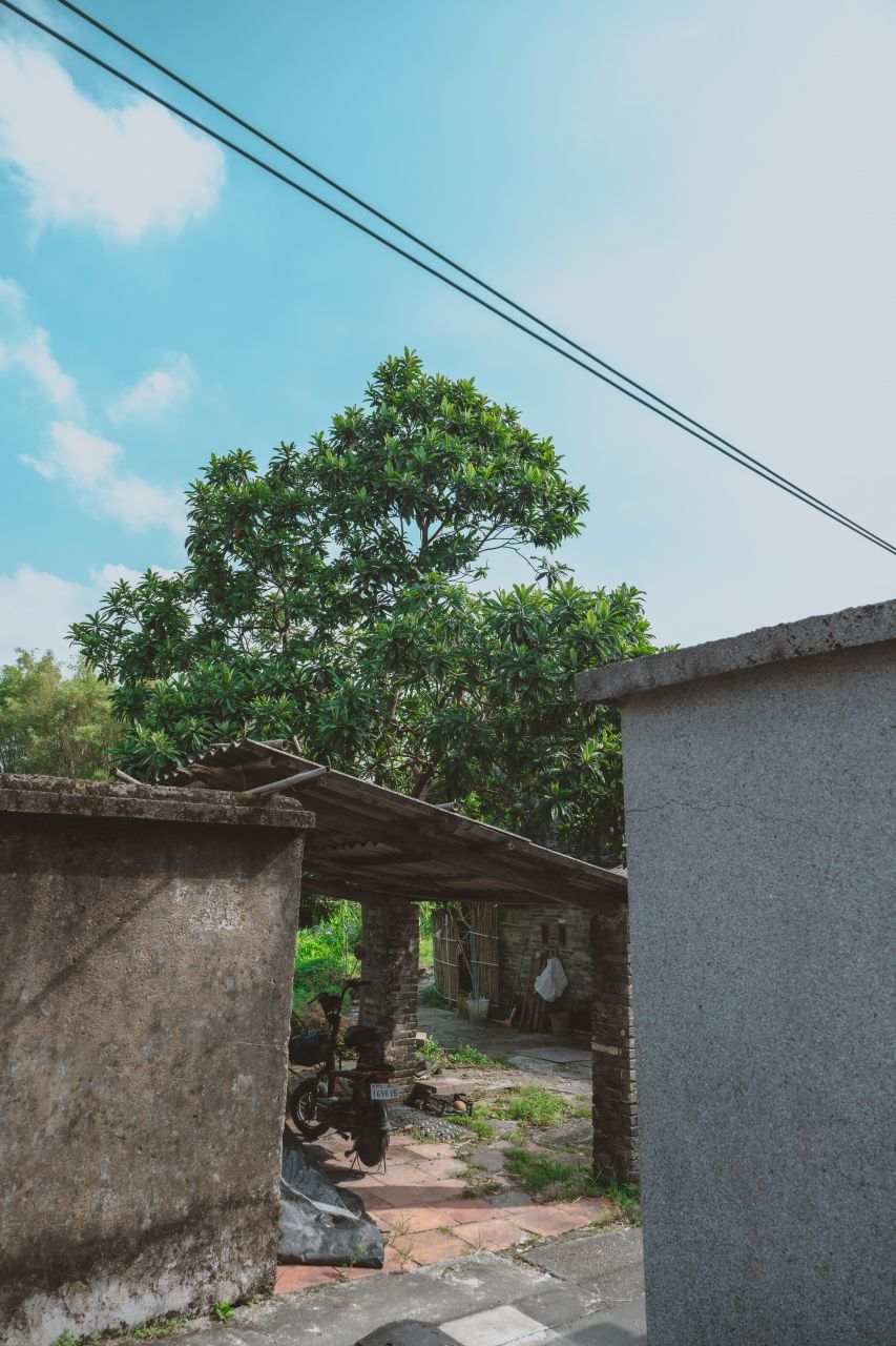久违的大岭村 久违的大岭村