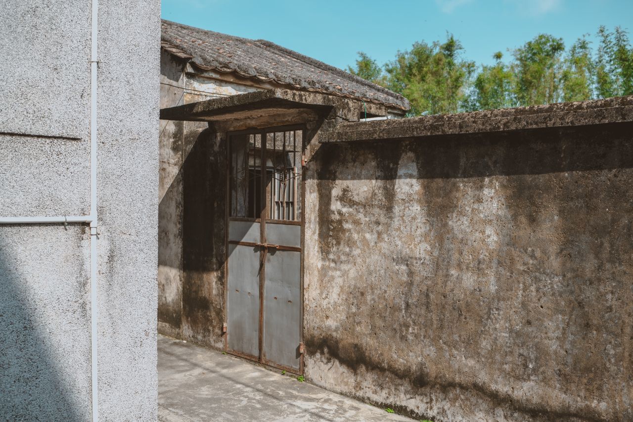 久违的大岭村 久违的大岭村