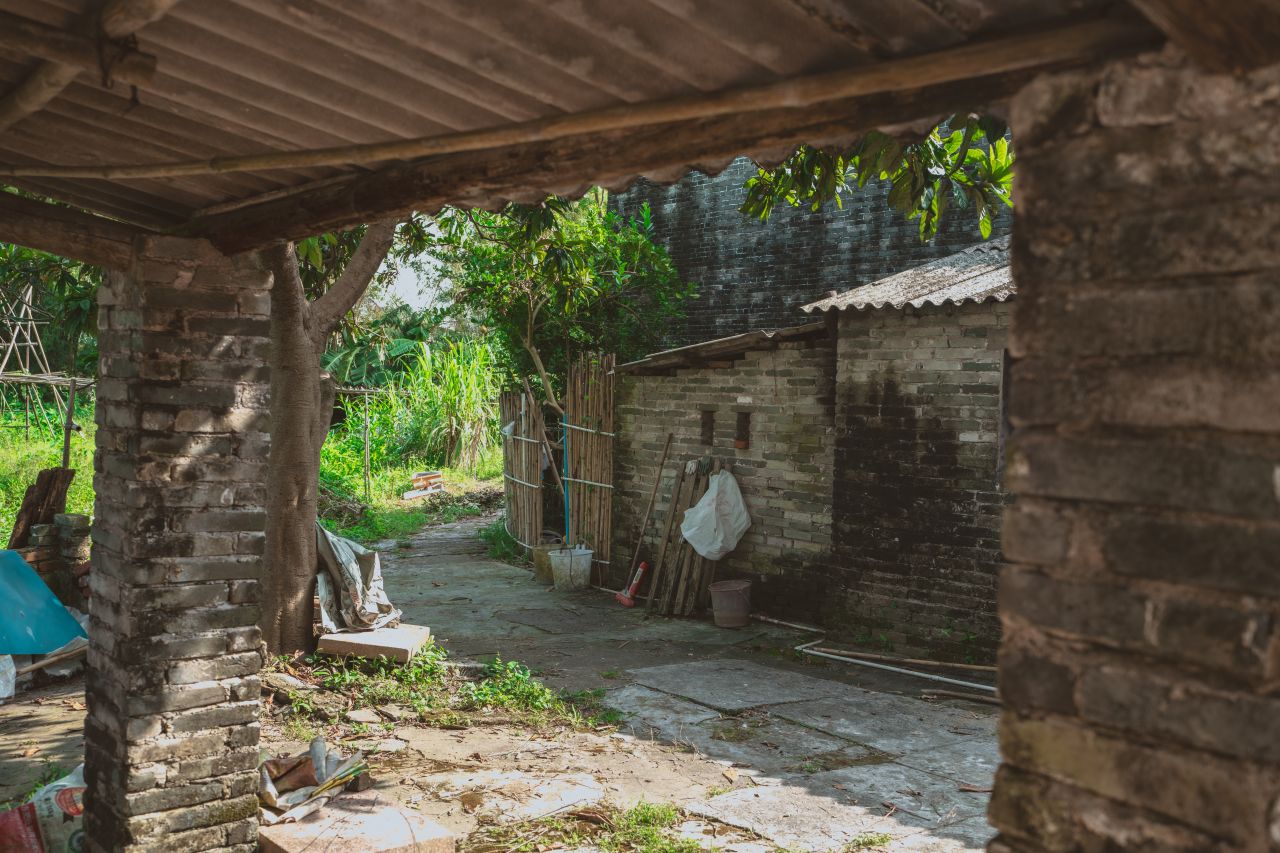 久违的大岭村 久违的大岭村