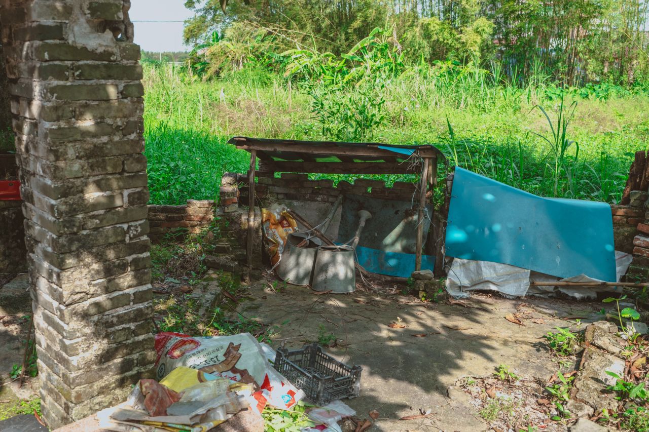 久违的大岭村 久违的大岭村