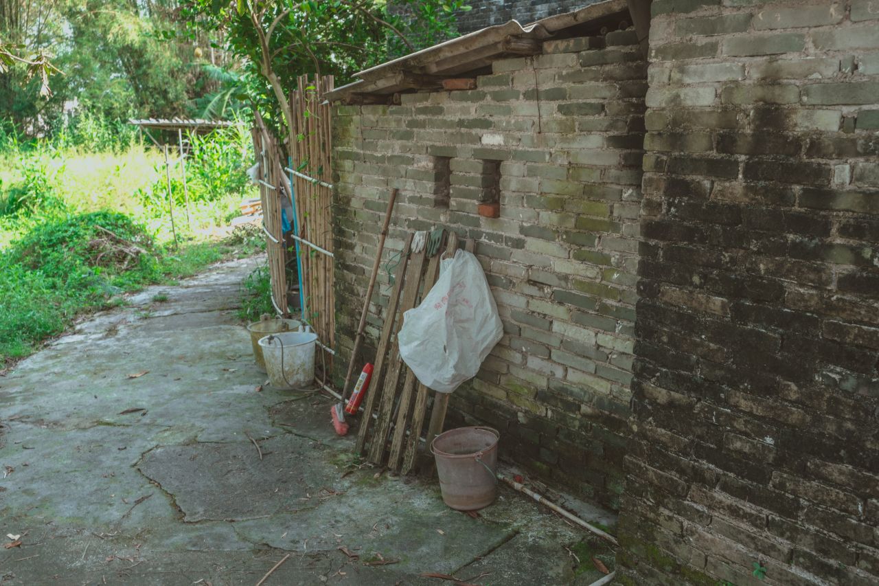 久违的大岭村 久违的大岭村