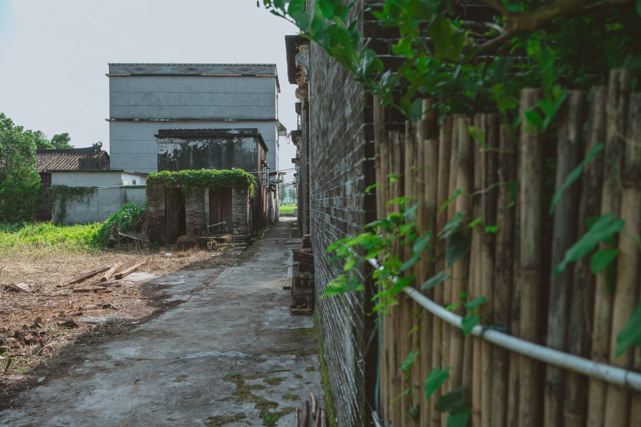 久违的大岭村 久违的大岭村