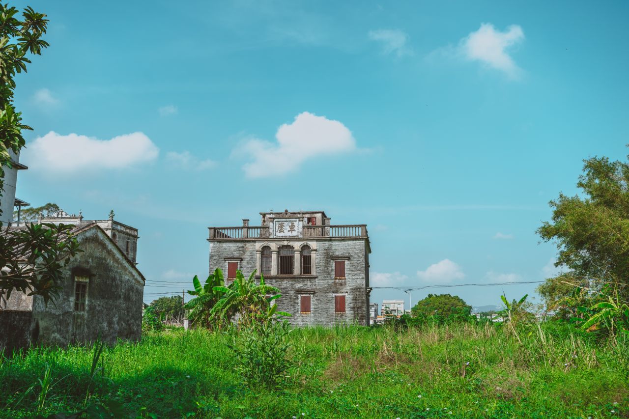 久违的大岭村 久违的大岭村