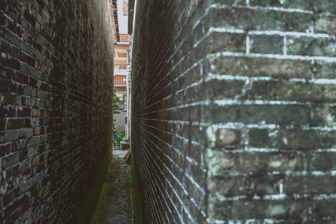 久违的大岭村 久违的大岭村