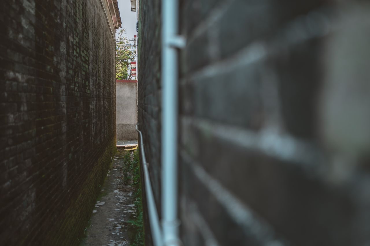 久违的大岭村 久违的大岭村