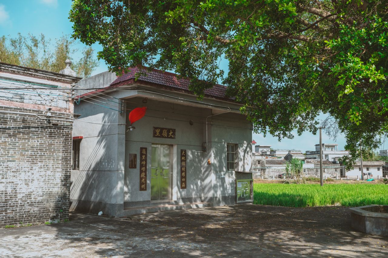 久违的大岭村 久违的大岭村