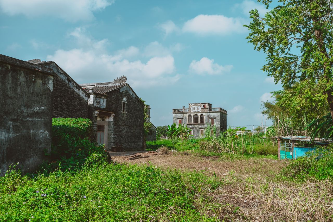 久违的大岭村 久违的大岭村