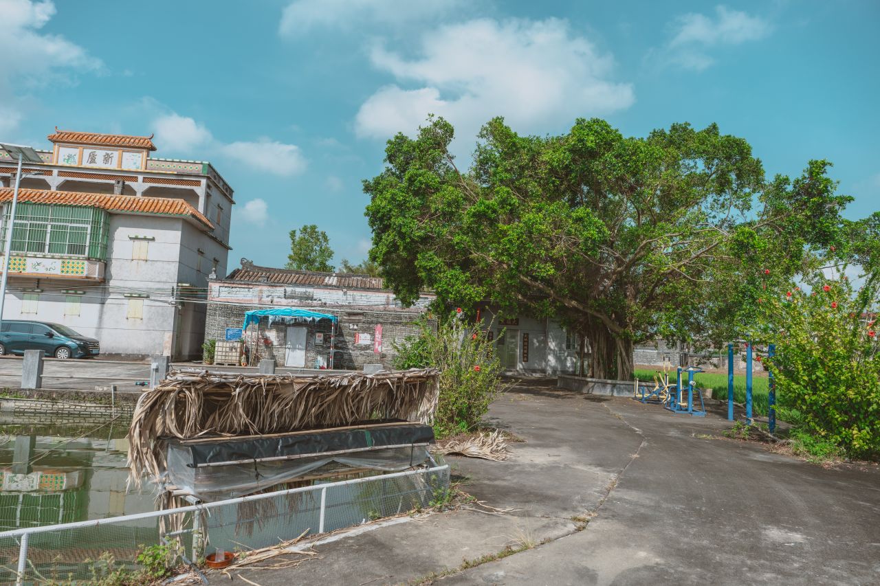 久违的大岭村 久违的大岭村