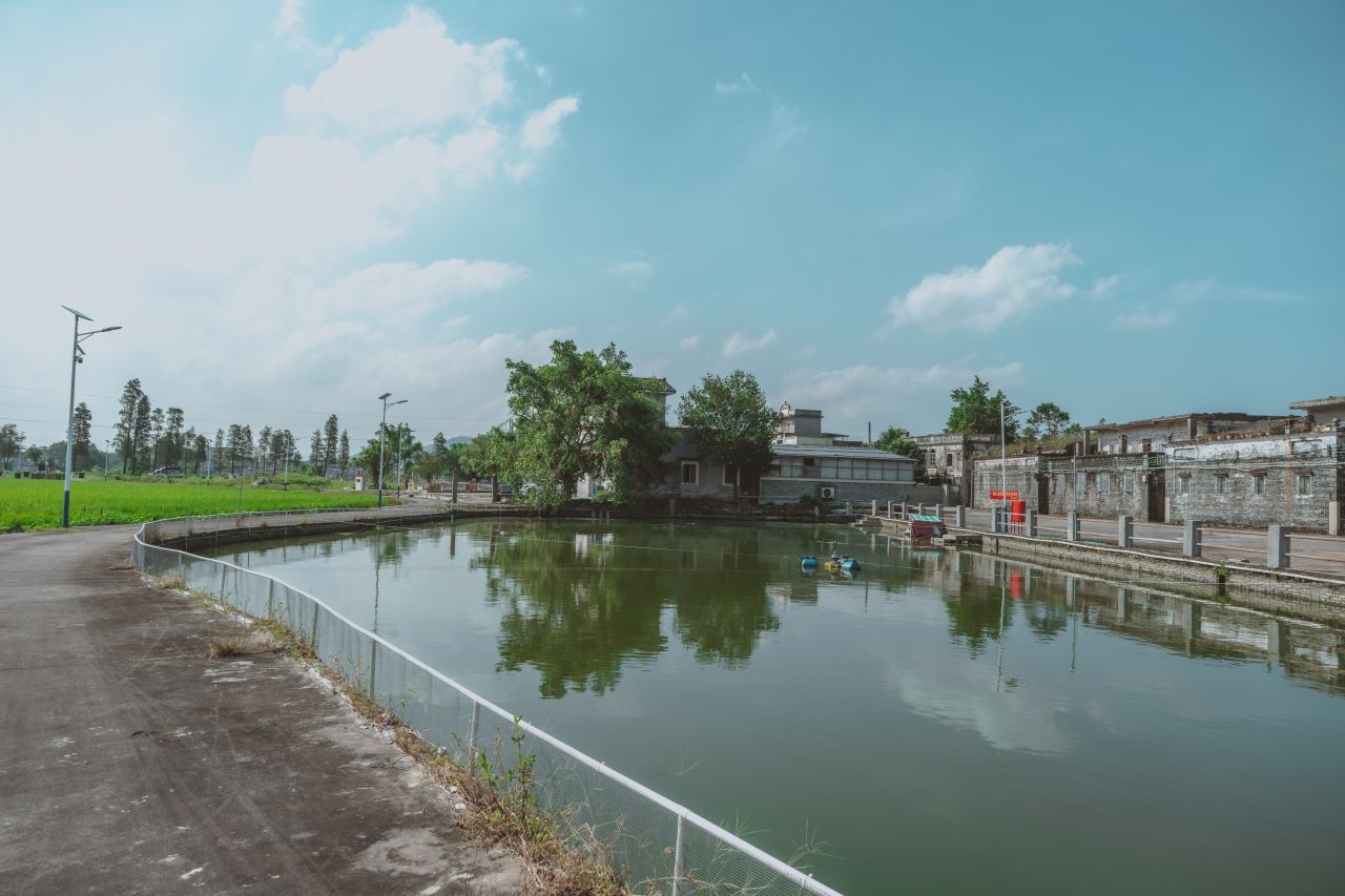 久违的大岭村 久违的大岭村