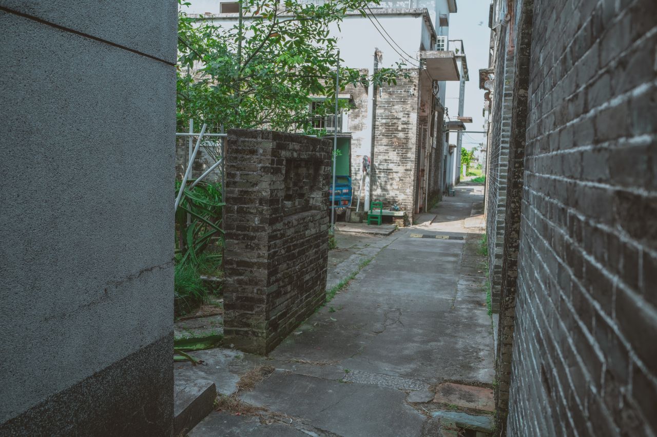 久违的大岭村 久违的大岭村