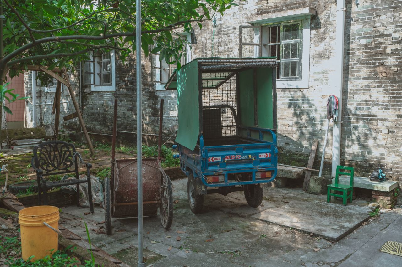 久违的大岭村 久违的大岭村
