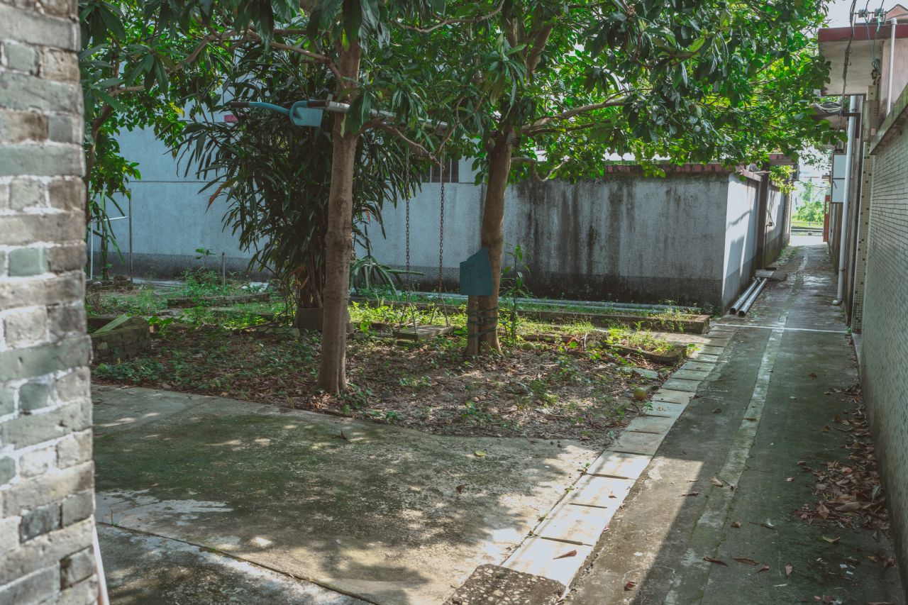 久违的大岭村 久违的大岭村